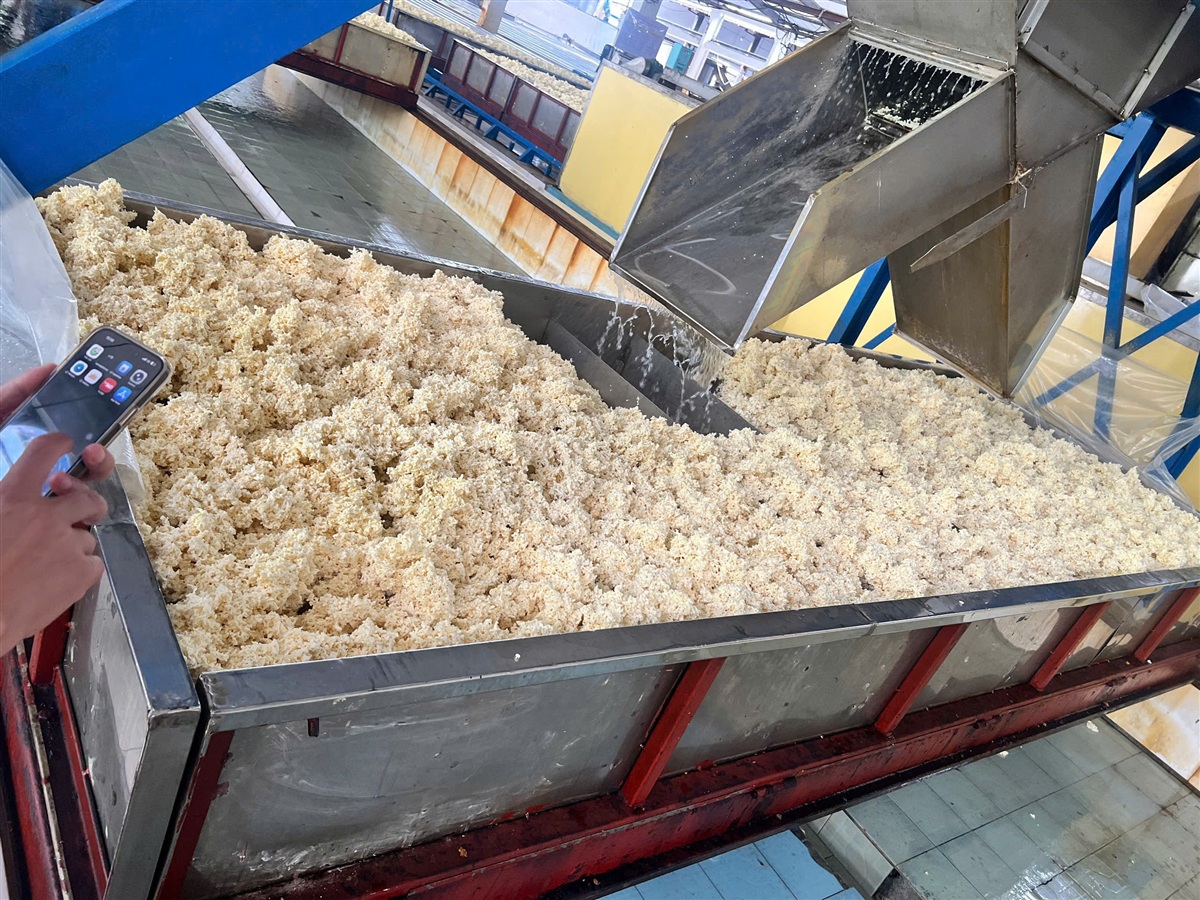 Crumb rubber processing